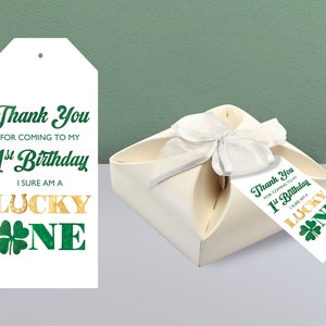 Lucky One Party Favor Tags / Saint Patrick's Day 1st Birthday Party Favors / Irish First Birthday Party Favor / Lucky One Party Favor / LO23