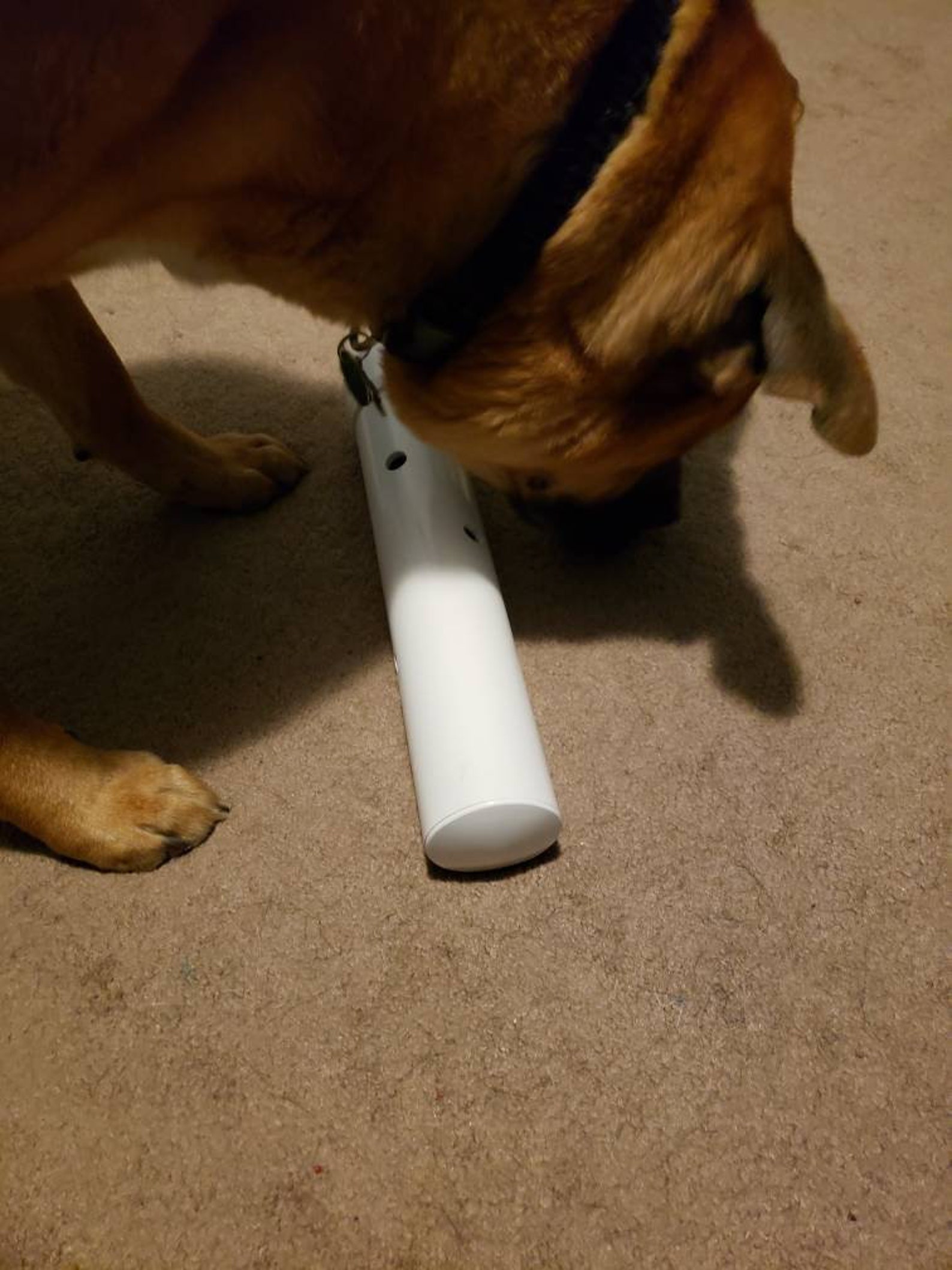 Hunde Leckerli Spender Spielzeug Etsy