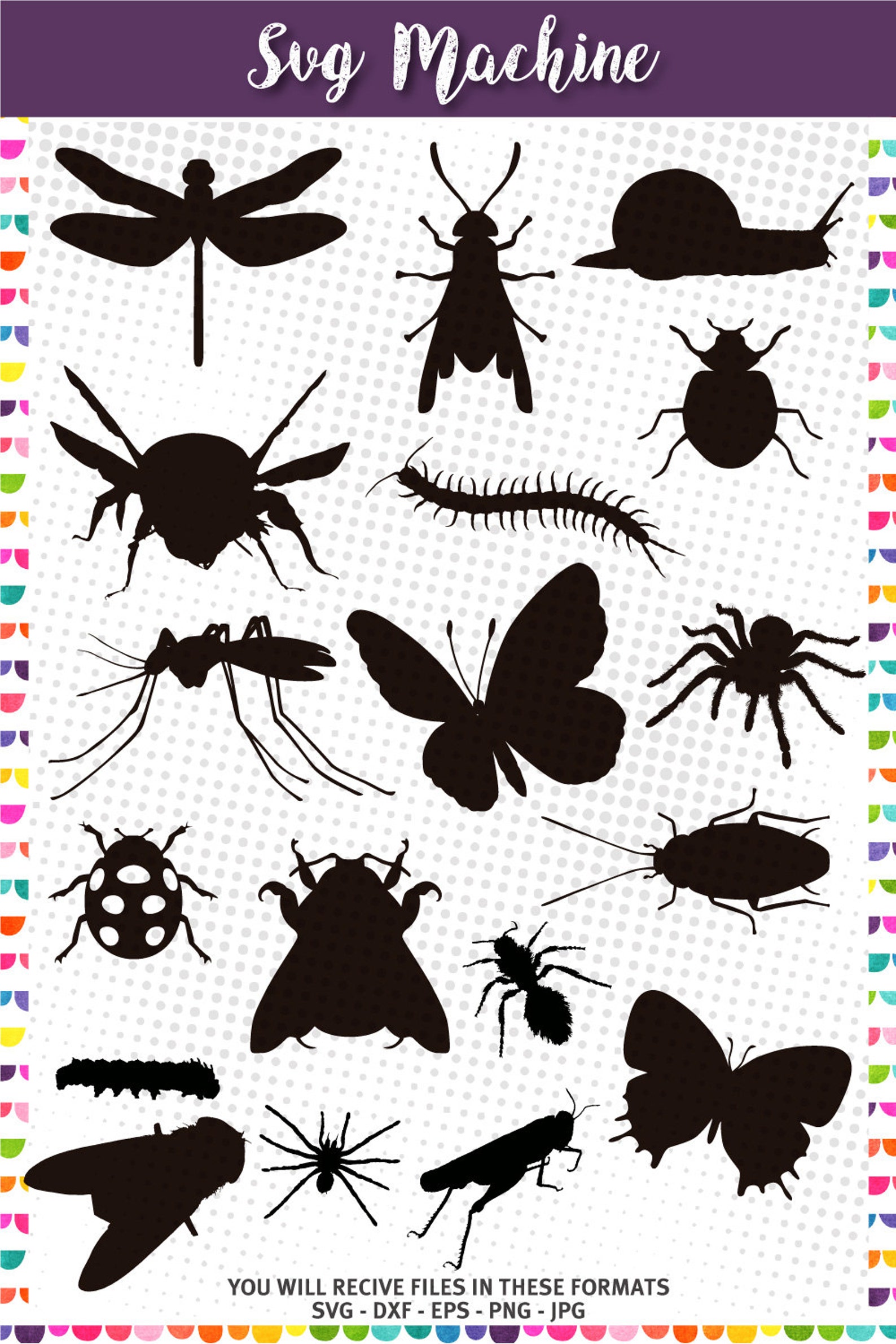 Insect Clipart Bugs SVG Cute Insect Svg Bundle Etsy Insect Clipart Bugs SVG Cute Insect Svg Bundle Etsy