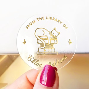 From The Library Of Custom Text Name Book Stickers Pack, Book Lover Gift Stickers, Personalized Book Stickers, This Book Belongs To Stickers