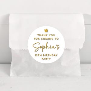 Thank You for Coming to My Party Stickers, Birthday Party Bag Stickers, Happy Birthday Clear Sticker Sheet, Thank You Welcome Labels