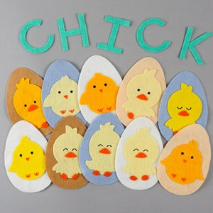 Ten Chicks Spring Felt Board Story Circle Time Activity Hen and Chicks Spring Circle Time Flannel Board Activity image 8