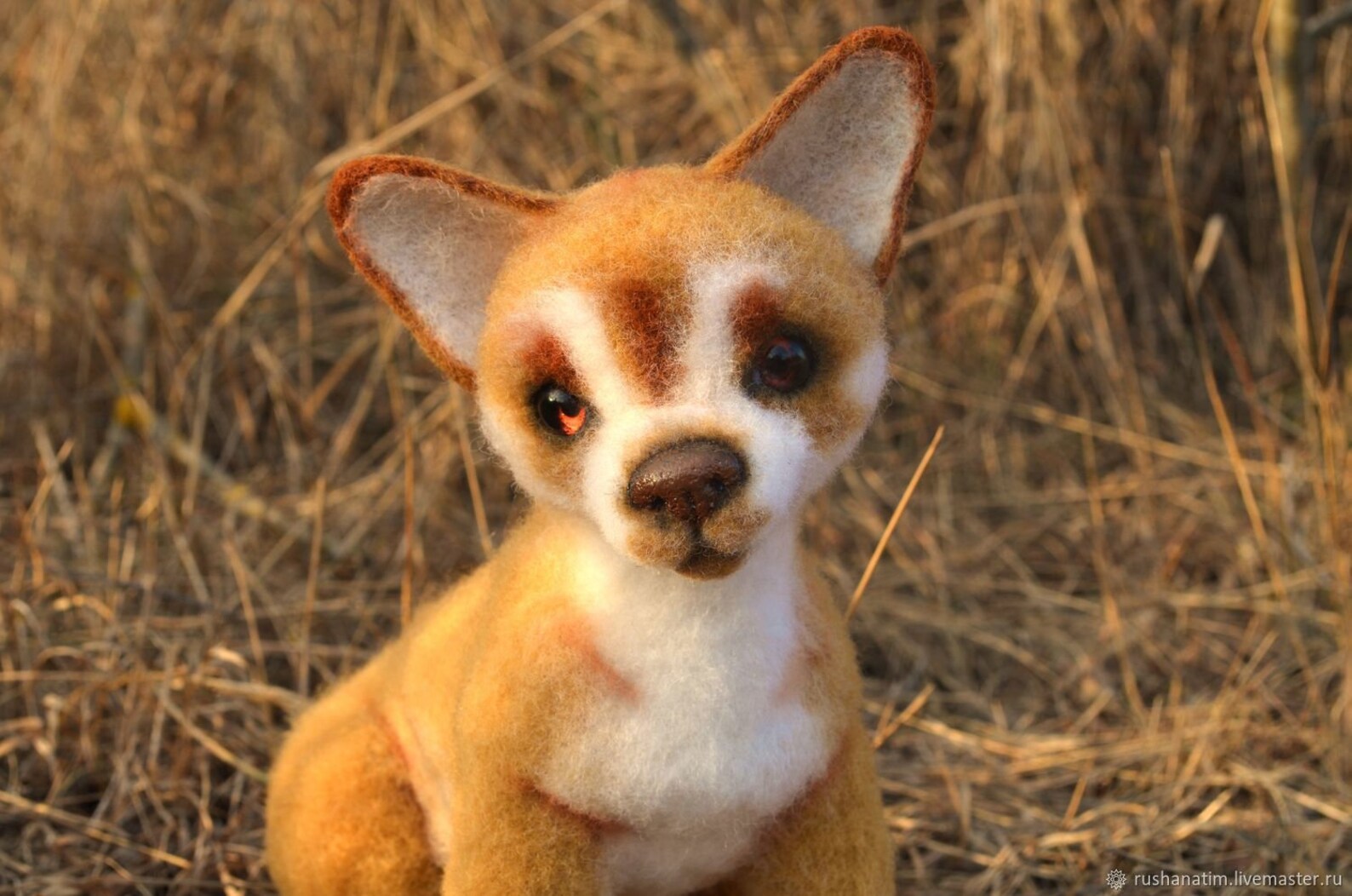 Чихуахуа из шерсти валяние. Брошь собака чихуахуа. Чихуахуа шерстяные. Чихуахуа мини длинношерстные. Чихуахуа из шерсти валяние.