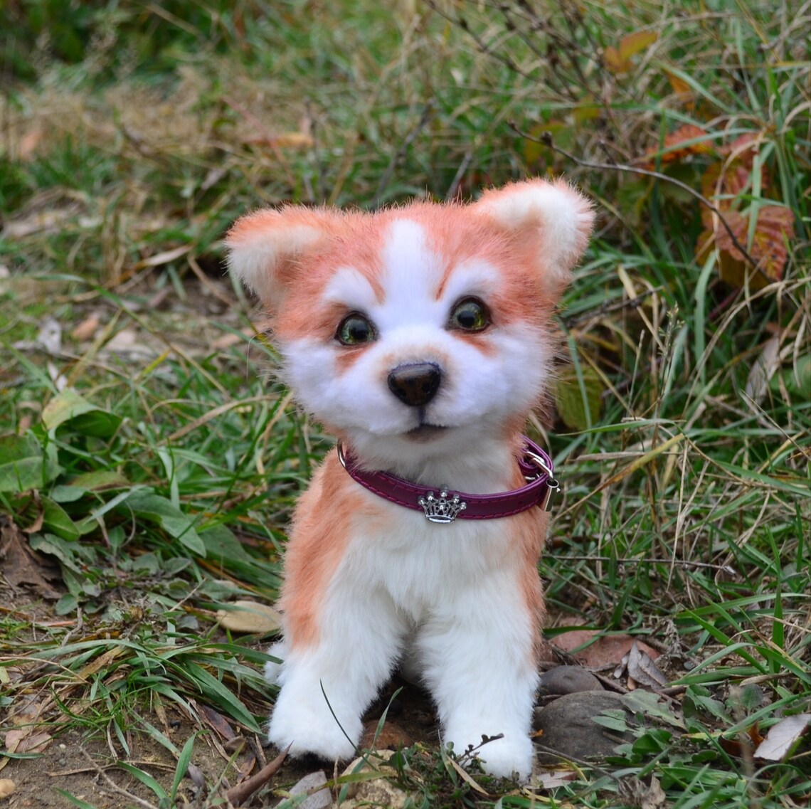 Realistic stuffed puppy toy. Stuffed dog. MADE TO ORDER. Etsy