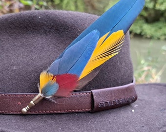 Fibula - brooch or plume hat in natural feather - decor - customized - hunter and fisherman - pheasant - men's gift - beret accessory