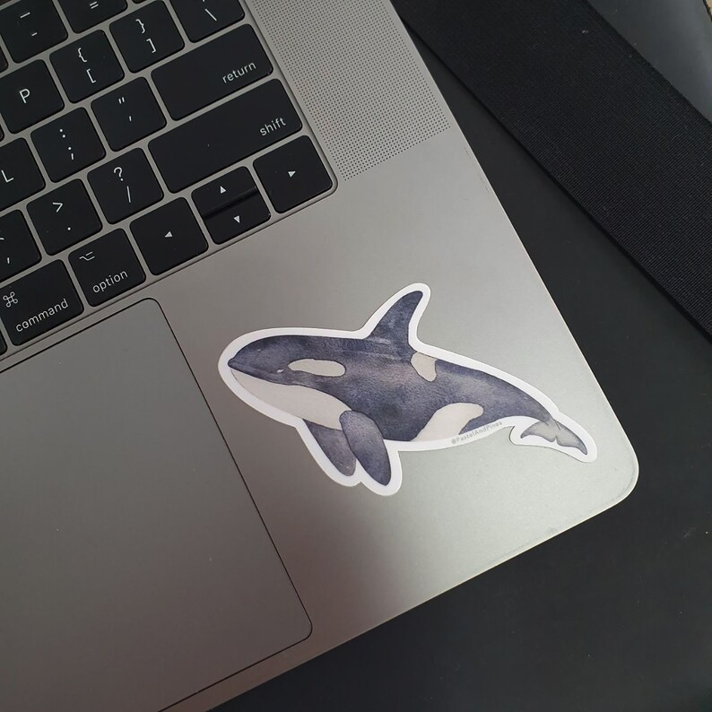Op de afbeelding: Een zwart-witte aquarel sticker van een orka op een zilveren laptop.