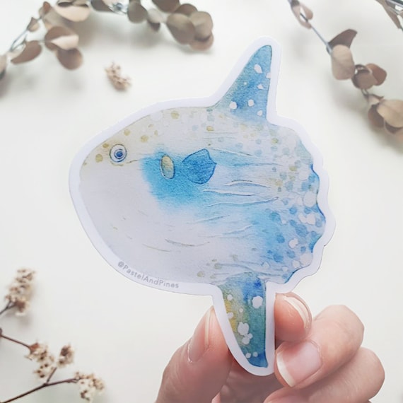 Mola mola Sticker, SunFish Sticker, Ocean Sticker, Vinyl Stickers, Gift For Her, Cute Stickers, Laptop Decal, Gifts Under 5, Gift for Divers
