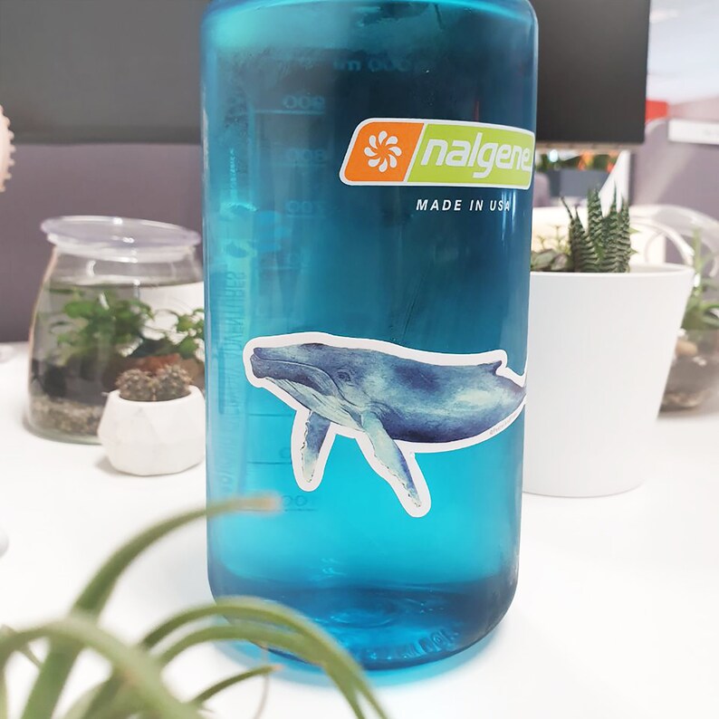 Op de afbeelding: Een blauwe Nalgene waterfles met een walvis sticker aan de zijkant. De sticker is een aquarel-stijl illustratie van een walvis die in de oceaan zwemt. De fles heeft de woorden "Nalgene" en "Made in USA" erop gedrukt.