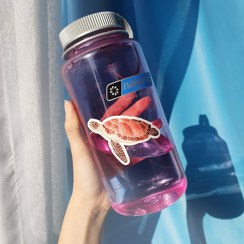 Op de afbeelding: Een roze Nalgene waterfles met een zeeschildpad sticker aan de zijkant. De fles is gemaakt in de VS.