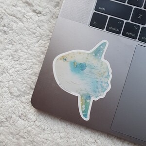 Op de afbeelding: Een aquarel sticker van een blauwe en gele maanvis, ook wel bekend als mola mola. De sticker zit op een zilveren laptop.