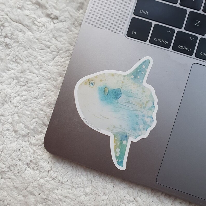 Op de afbeelding: Een aquarel sticker van een blauwe en gele maanvis, ook wel bekend als mola mola. De sticker zit op een zilveren laptop.