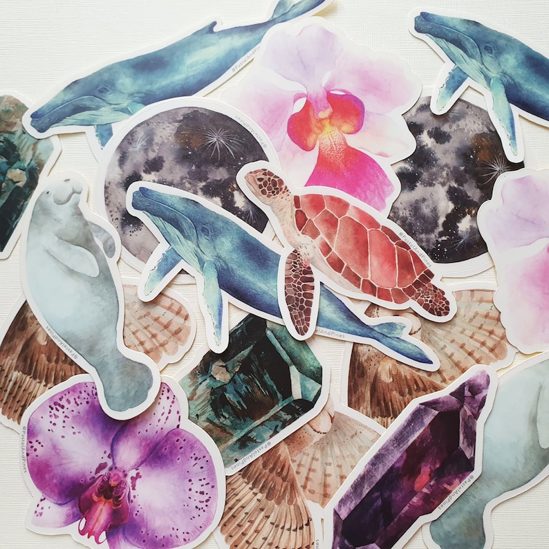 Op de afbeelding: Een set met kleurrijke stickers met verschillende illustraties, waaronder een zeeschildpad, een walvis, een lamantijn, een bloem, een kristal en een vleugel. De stickers zijn geschilderd in aquarelstijl en hebben een speels, door de natuur ge&iuml;nspireerd thema.