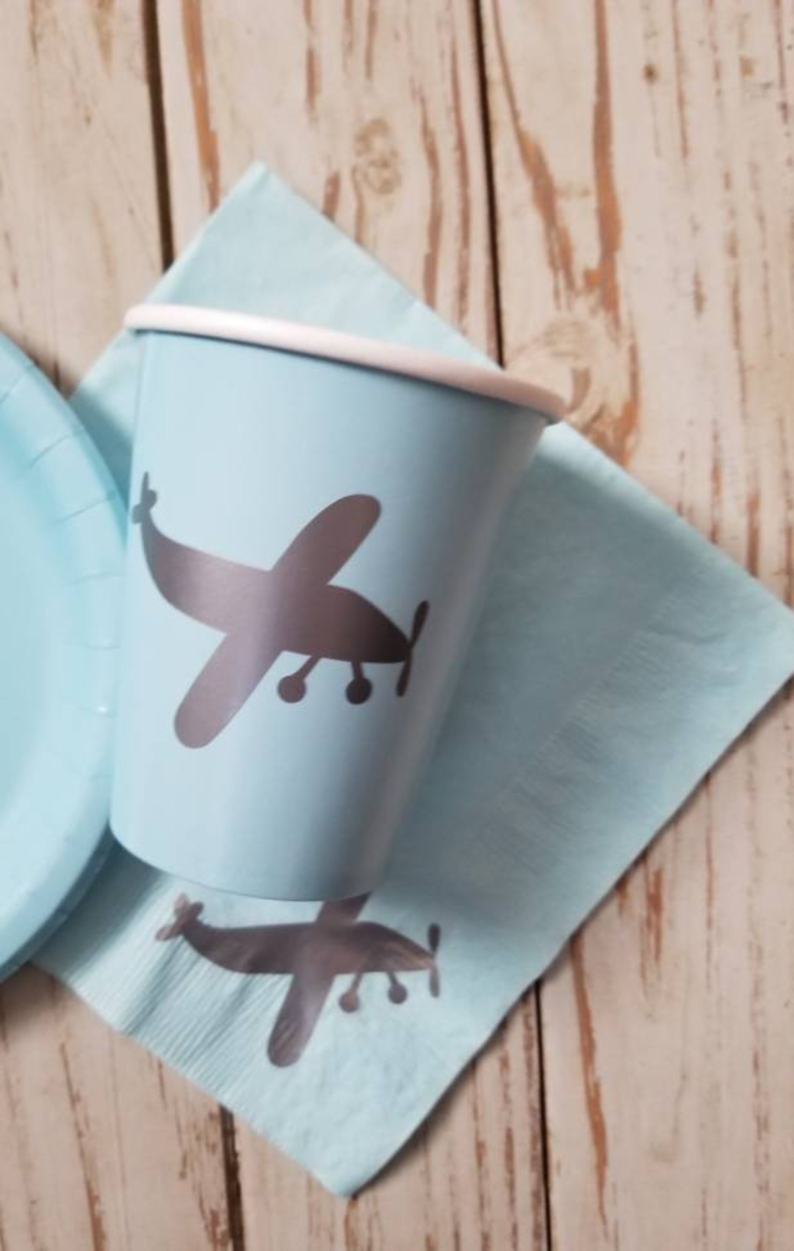 Airplane Plates Cups and Napkins Airplane First Birthday Etsy