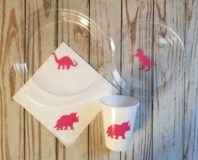 Girls Dinosaur Plates Cups and Napkins Dinosaur Birthday Etsy