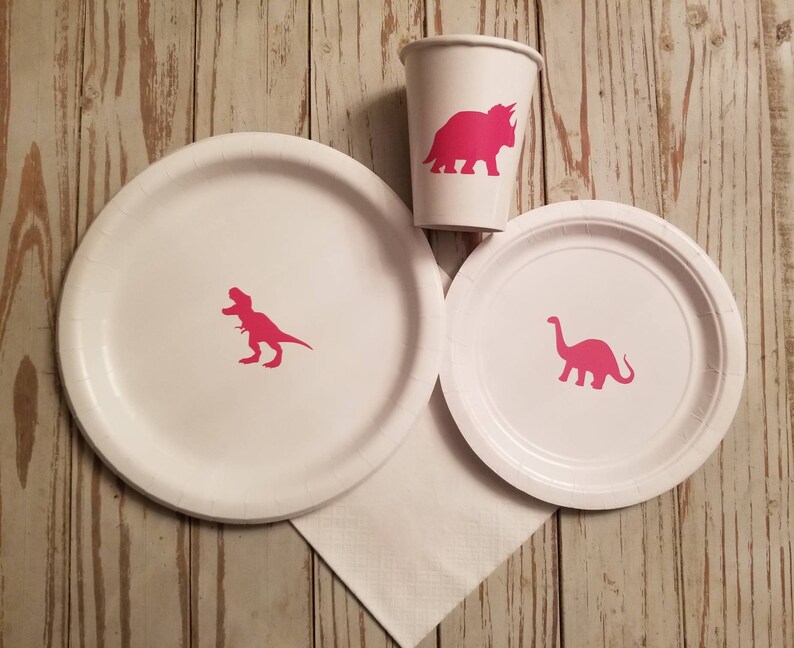 Girls Dinosaur Plates Cups and Napkins Dinosaur Birthday Etsy