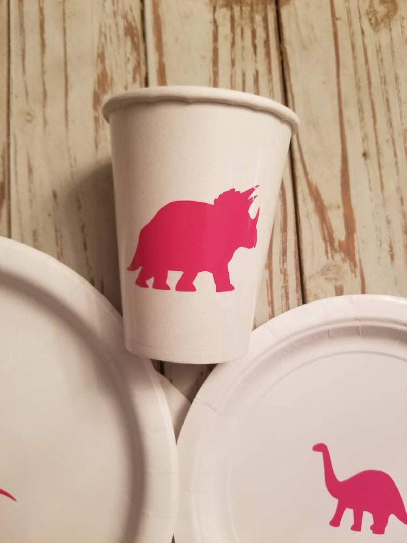 Girls Dinosaur Plates Cups and Napkins Dinosaur Birthday Etsy