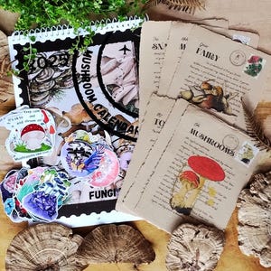 Caixa de presente de véspera de Natal de cogumelo Cottagecore, presentes de Natal exclusivos para ele, ela, mãe, pai, namorado, colegas de trabalho, amigos, professores, presentes de Natal