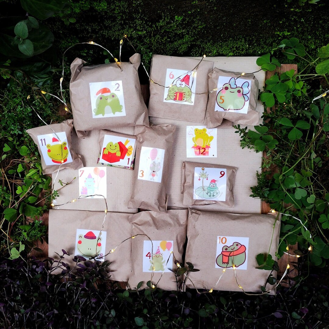 Frog Advent Calendar Mystery Gifts Box for Kids Teens Girls 12 Days Frog Advent Calendar Mystery Gifts Box for Kids Teens Girls 12 Days