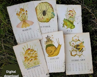 Printable mushroom whimsical wall calendar 2026, artist illustrated watercolor calendar - no ai, digital calendar, last minute gift