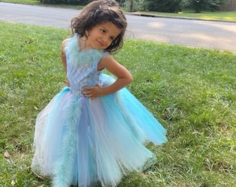 Sisu Raya and the Last Dragon Halloween Birthday Party Dance Ballet Costume Dress for Infant, Toddlers, Girls
