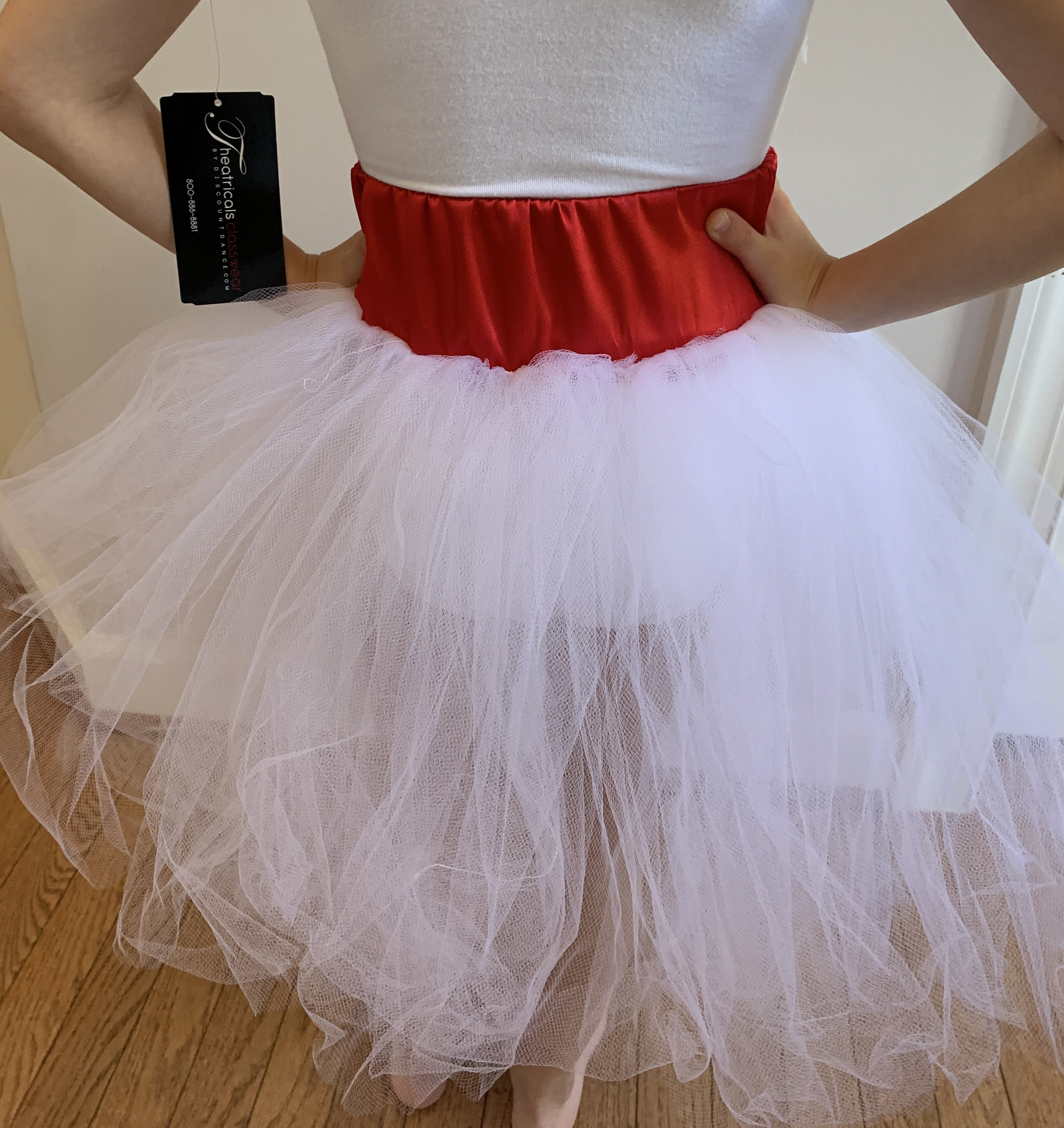 Mary poppins cheap tutu dress