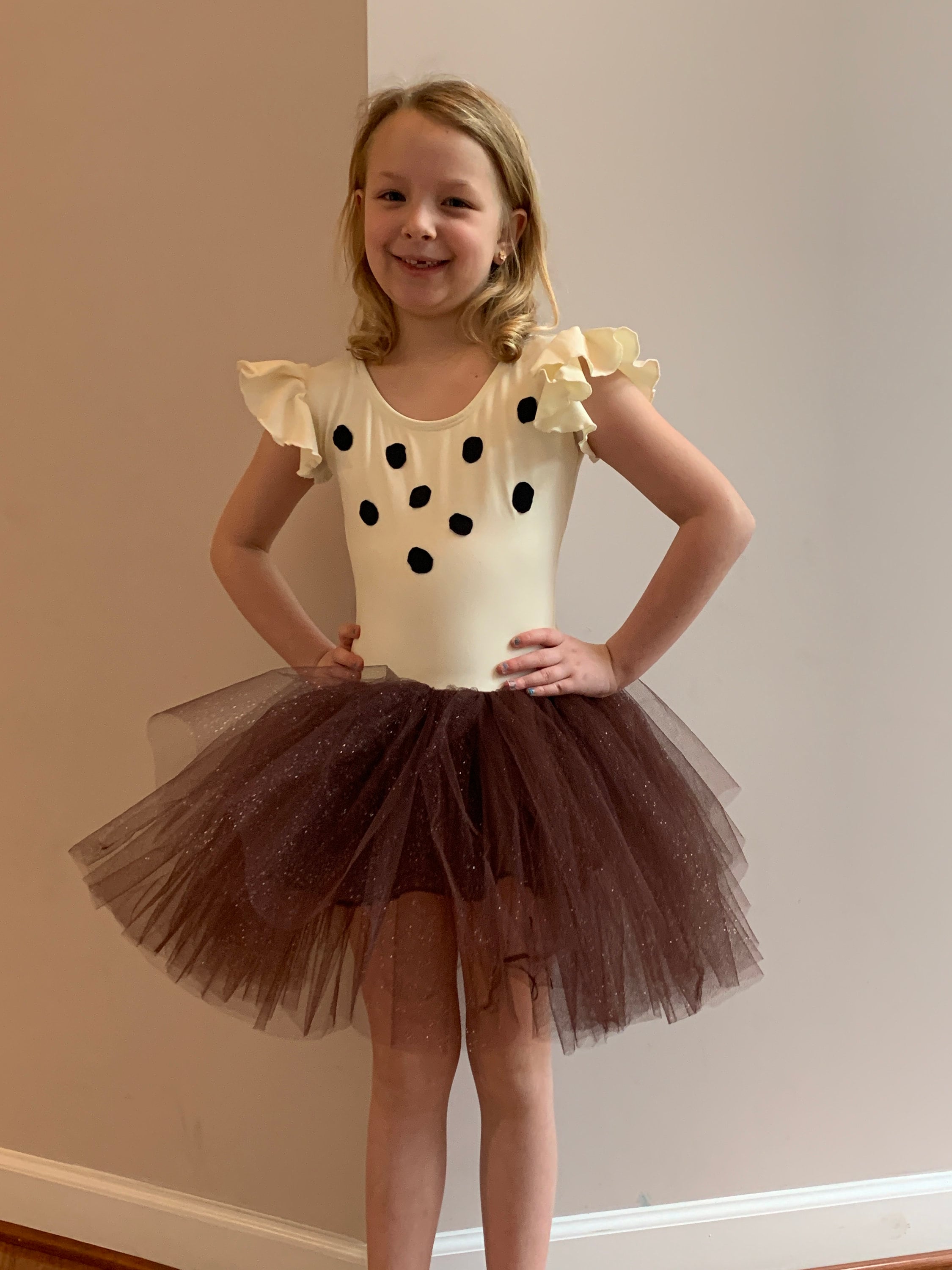Owl Winnie the Pooh Costume Dance Costume or Birthday Dress Tutu