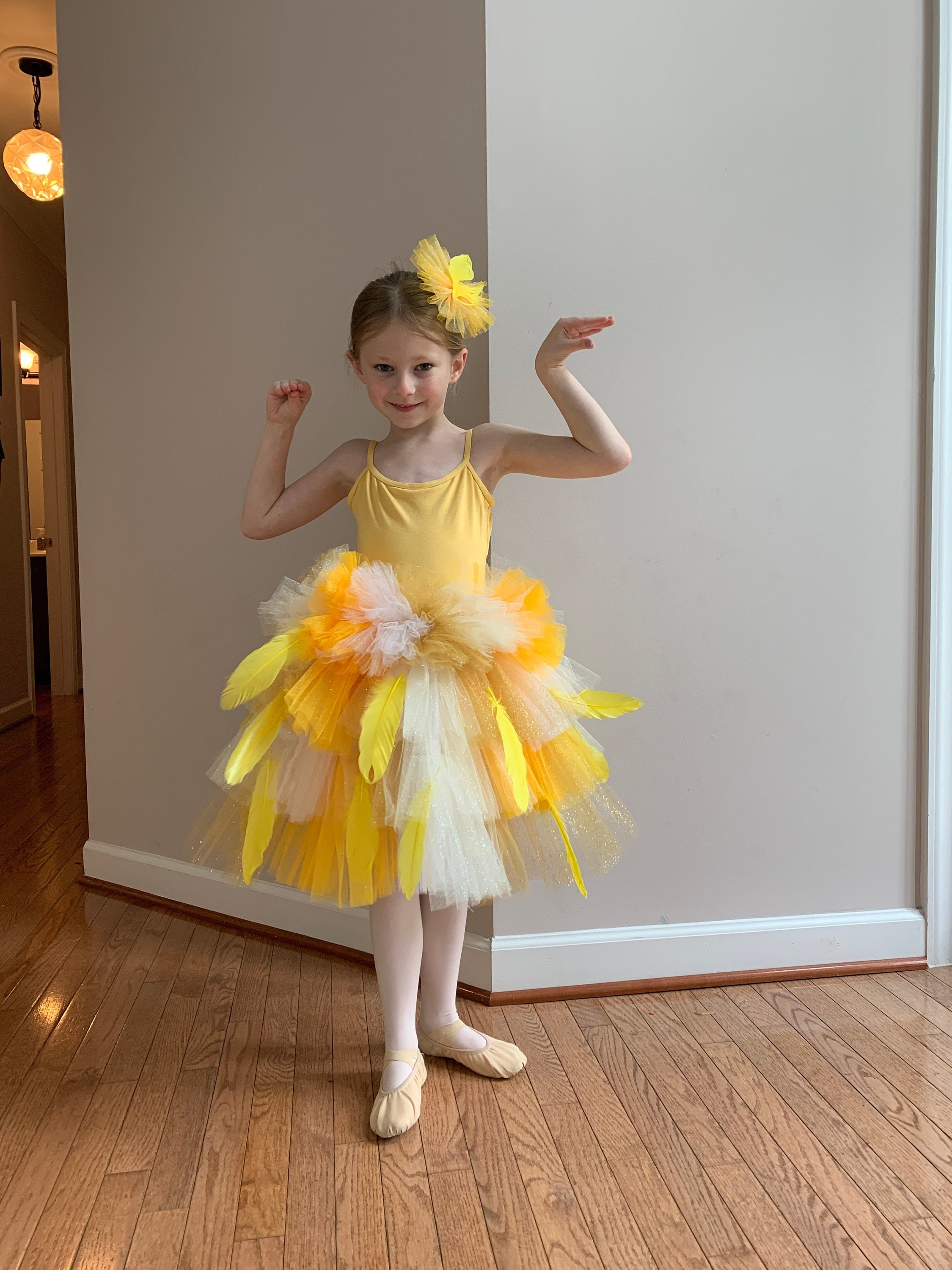 8+ Big Bird Costume