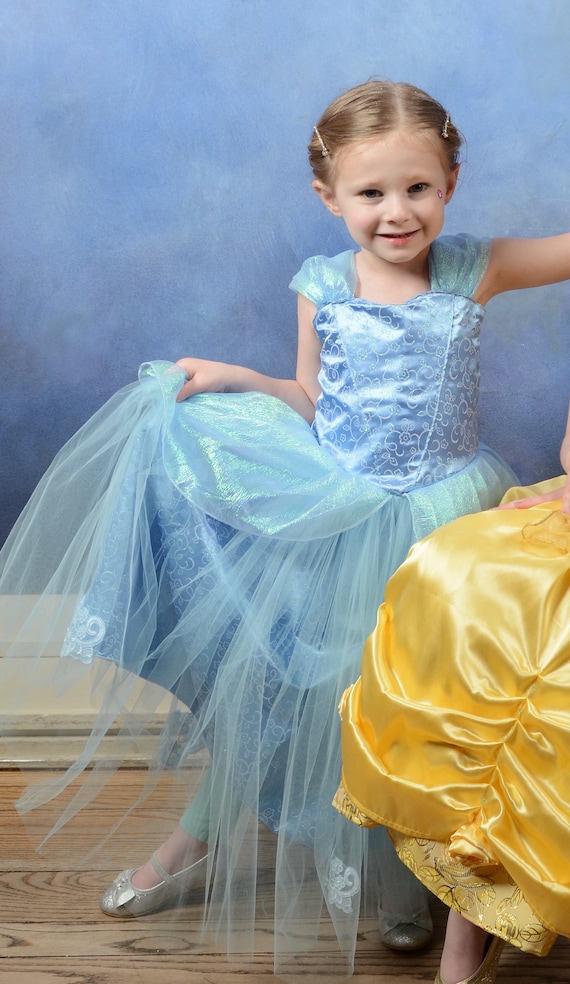 Custom Cinderella Costume Dress Gown for Girls Toddler Infant or Adult Woman women Etsy Canada