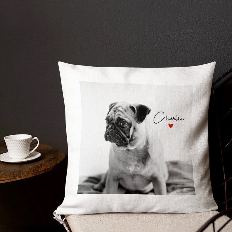picture pillows dog