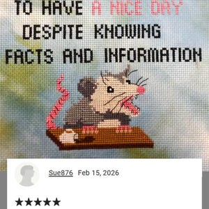 Grappig kruissteekpatroon opossum: ondersteuning voor geestelijke gezondheid (pdf) afbeelding 2