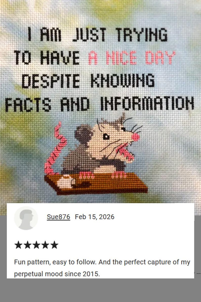 Grappig kruissteekpatroon opossum: ondersteuning voor geestelijke gezondheid (pdf) afbeelding 2