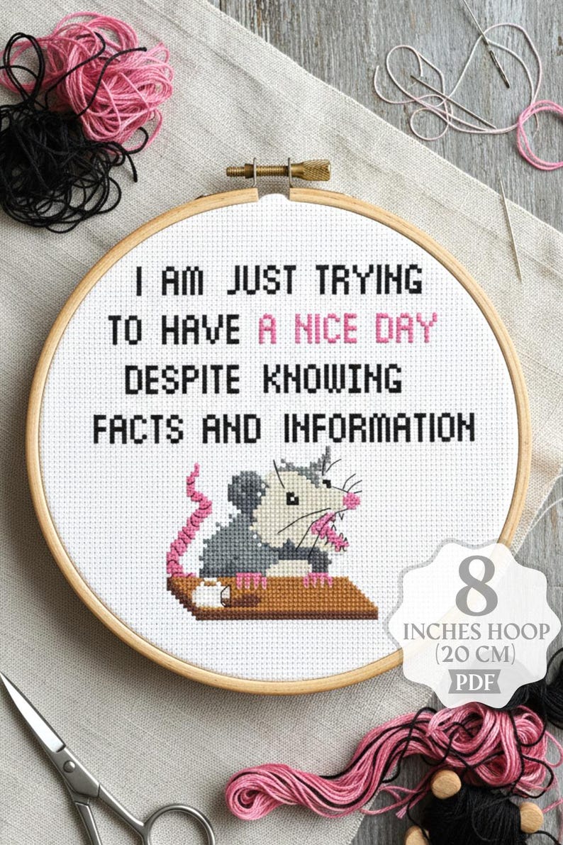 Op de afbeelding: Kruissteekborduurring met de tekst "I AM JUST TRYING TO HAVE A NICE DAY DESPITE KNOWING FACTS AND INFORMATION." Het ontwerp bevat een cartoon opossum. De ring heeft een diameter van 20 cm.