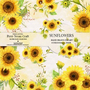 Clipart de flor em aquarela de girassol, pintado à mão, clipart DIY, floral pintado à mão, convite floral, cartão de felicitações, pacote de casamento romântico