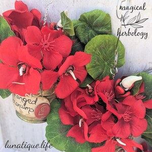 Holiday Herbology FanGeD potted GeRAniuMs Ornament image 5
