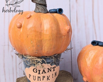 MaGicAL GiaNt pumpkin herbology with ammonites 'fossil'