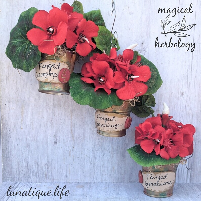 Holiday Herbology FanGeD potted GeRAniuMs Ornament image 1