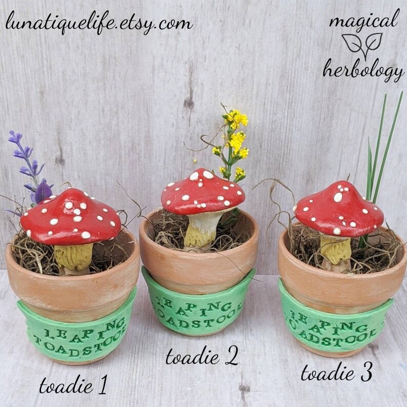 Potted Adolescent Leaping Toadstool Sculpture