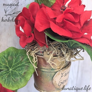 Holiday Herbology FanGeD potted GeRAniuMs Ornament image 6