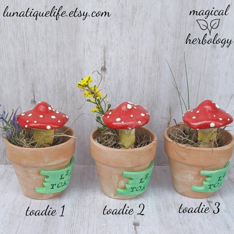 Potted Adolescent Leaping Toadstool Sculpture