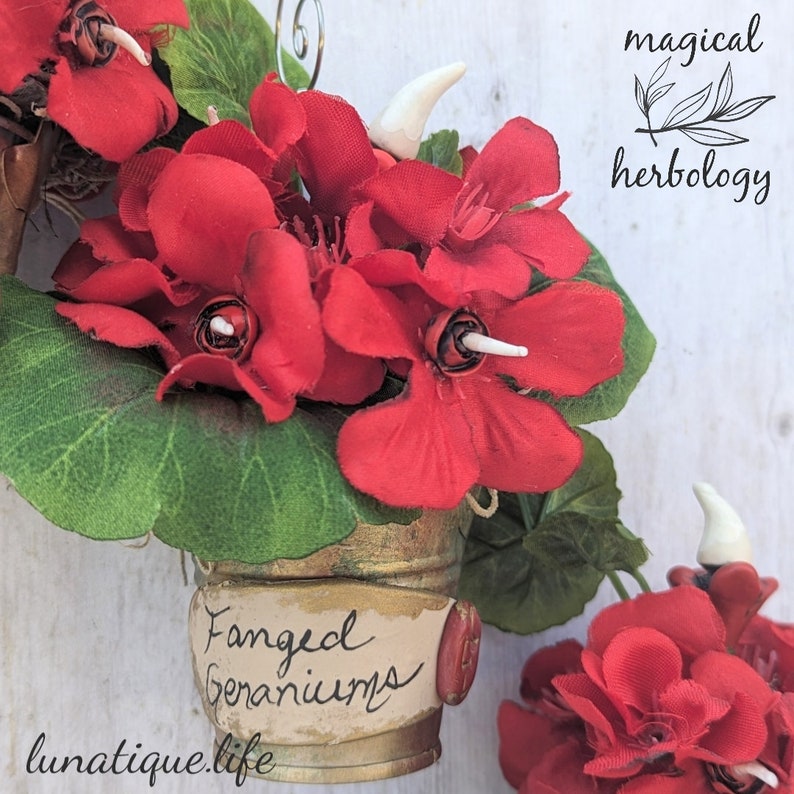 Holiday Herbology FanGeD potted GeRAniuMs Ornament image 2
