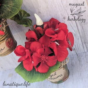Holiday Herbology FanGeD potted GeRAniuMs Ornament image 4