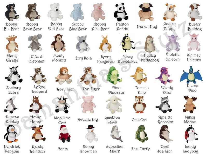 Personalized Stegosaurus Dino Adoption Gift Plush Dinosaur Etsy