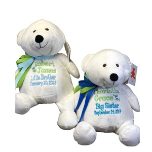 Keepsake Bear, Personalized stuffed animal Stuffed bear, Plush Bear, Custom Adoption Gift Pink Bear, Blue Bear, Traditional Baby Shower Gift