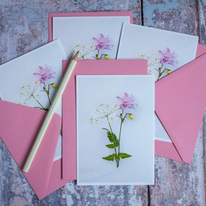 Ensemble de notes de fleurs sauvages de l'ancolie et de cow persil - 4 notes de style carte postale avec enveloppes roses, ensemble de cartes de correspondance de fleurs sauvages