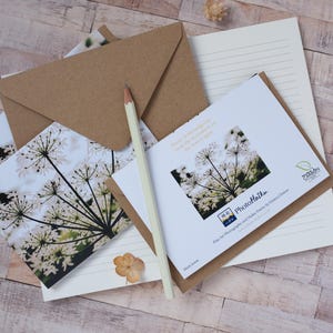 Nature Notelets Wildflower Note Cards, Blank Inside With Nature Poem on Reverse, Eco ...