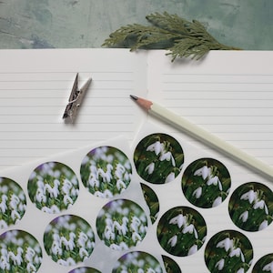 Adesivi bucaneve, adesivi primaverili ecologici biodegradabili stampati con inchiostri vegani, accessori per diario, scrapbooking, adesivi per planner