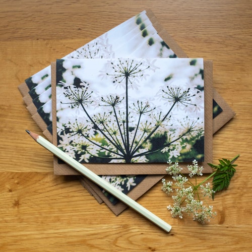 Wildflower Note Cards Blank Inside With Nature Poem on Etsy UK