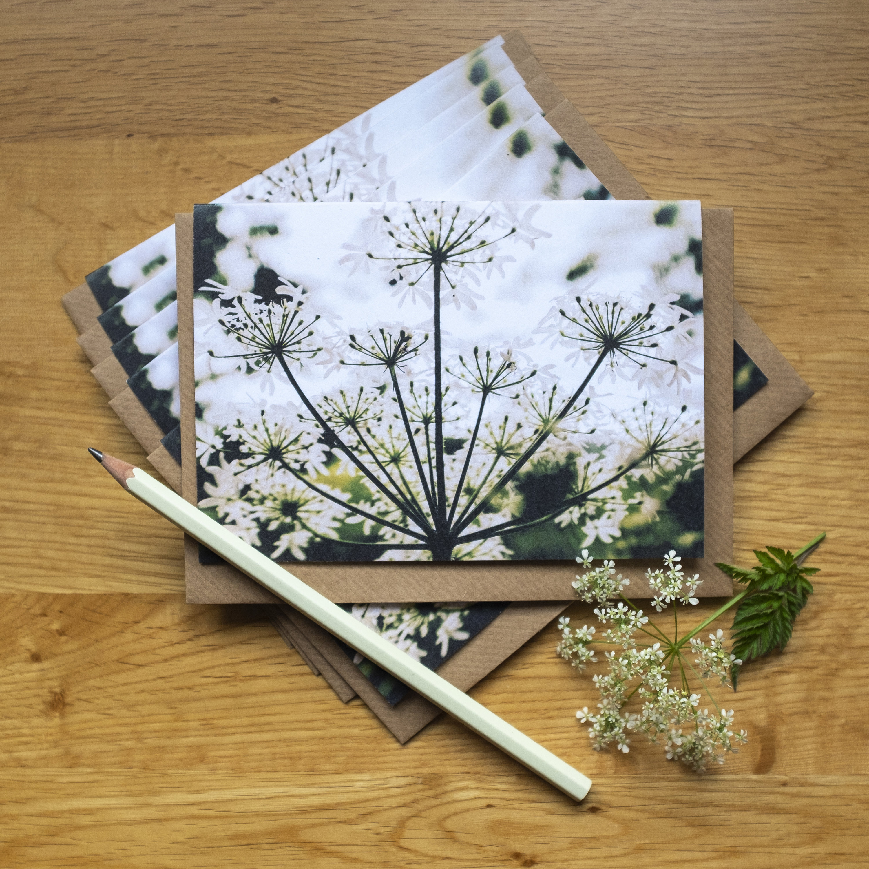 Paper Blank Inside Greeting Card Botanical Card Wildflower Card Inverted Triangle Blank Cards