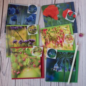 Tuinbloemen Notitiekaarten set met bijpassende stickerafdichtingen, blanco notities met enveloppen, milieuvriendelijk cadeau