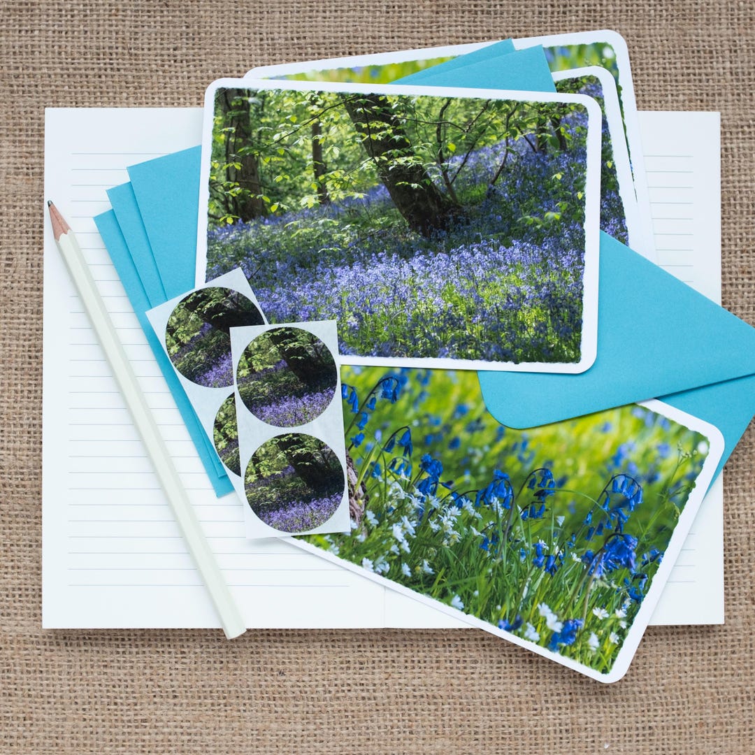 Bluebell Woods Luxury Notelets Set With Blue Envelopes and Matching ...
